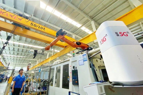 共同富裕 浙 樣干 見證來自浙江聯通的 數字力量